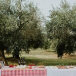 Picnic entre vinyes - La vinyeta