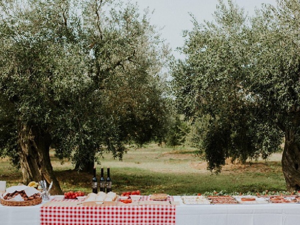 Picnic entre vinyes - La vinyeta - empordaturisme