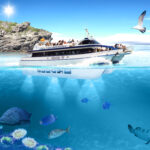Illes medes - creuers marenostrum . empordaturisme