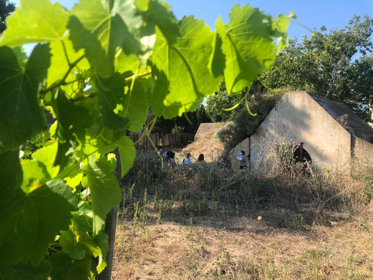 Visita enohistorica - celler mas llunes - empordaturisme